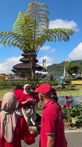 Tourists and ceremonies documented at Balinese water temple