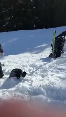 A person wearing winter clothing attempts to walk uphill through deep snow. The person has on a helmet and is carrying skis and poles, and sinks into the snow. Another person standing nearby walks closer and appears to photograph the first person with a phone. The first person stands back up and retrieves their skis, poles, and helmet. Both people are standing on a snow-covered slope, in front of a snow-covered hill in the distance. Evergreen trees line the top of the hill.