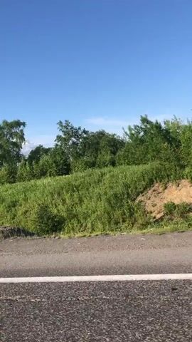The video shows a roadside view with a clear blue sky. In the foreground, there is an asphalt road with a white line. To the left, a tall white pole is visible. Beyond the road, there is a grassy embankment with various trees and bushes. In the distance, a large mountain with snow on its peak can be seen, partially obscured by trees and a white guardrail. The overall scene appears to be a scenic rural landscape under bright daylight.