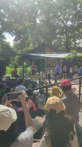 The video shows a group of people watching a presentation on a stage at a zoo. Several people are on the stage, some of whom are holding microphones and speaking to the audience. The audience is seated behind a metal railing and appears to be listening attentively. Some people in the audience are holding up phones to record the presentation. The environment is sunny and outdoors, with trees visible in the background. A building behind the stage has a sign that reads "THE WILD CAFE at the ZOO."