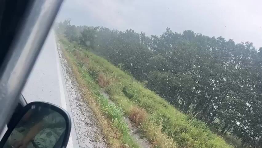 The media file captures a view from inside a vehicle, likely a car, as it travels along a road. The scene is dominated by a lush green embankment covered in grass and trees that line the right side of the road, stretching into the distance. The road itself appears wet, suggesting recent or ongoing rain. The sky is overcast with a light gray, cloudy atmosphere.

The activity depicted is travel through a natural, possibly rural, landscape. There are no people or distinct objects visible in the frame, other than the interior of the vehicle from which the footage is taken, hinted at by a portion of a car door and a side mirror on the left. The weather is clearly inclement, with visible raindrops or spray distorting the view, creating a slightly hazy or misty effect. This is further emphasized by a scattering of white specks, possibly more rain or even hail, being blown across the frame, indicating windy conditions. The time of day is indeterminate due to the overcast sky, but it appears to be daylight. The overall mood conveyed is one of being in transit through a somewhat unsettled, yet verdant, environment. The location context of Panaiot-volovo, Bulgaria, places this scene in a specific geographical region, though no explicit landmarks confirm this within the visual itself. No text is visible in the media.