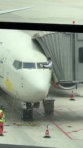 A person is cleaning the front windows of an airplane that is connected to a jet bridge.  The person is wearing a white shirt. The plane is white with a yellow logo on its side.  Two workers, wearing orange vests, stand to the side of the plane.  There are orange traffic cones on the ground.  Hoses and equipment are near the plane.  The footage is taken from inside an airport terminal.