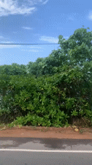 Coastal road journey recorded in Midigama, Sri Lanka