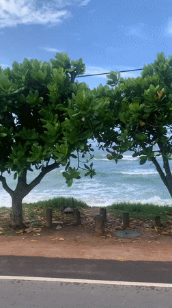 Coastal road journey recorded in Midigama, Sri Lanka