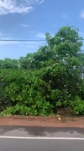 Coastal road journey recorded in Midigama, Sri Lanka