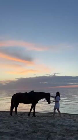 Here's a concise description of the video:

A woman in a short white dress stands on a sandy beach, gently petting a saddled brown horse on the head and neck. The horse stands calmly beside her. In the background, the sun is setting over calm water, casting a soft orange and pink glow in the sky. The scene has a serene and peaceful atmosphere.