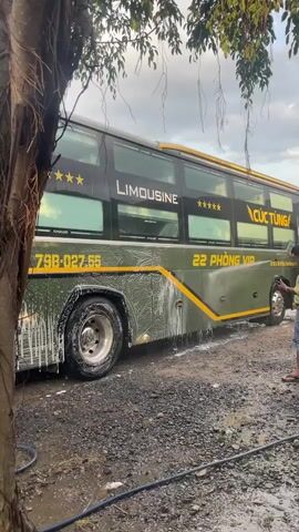 An olive green limousine bus is being washed outdoors. The bus, marked with "LIMOUSINE," "22 PHÒNG VIP," and license plate "79B-027.55," is covered in soap suds along its lower left side and wheels. A person's right hand and forearm are visible on the far right, holding a yellow hose and nozzle, actively spraying water onto the bus to rinse off the suds. The ground beneath the bus is dark, wet, and gravelly. A large brown tree trunk with roots occupies the left foreground, while a blurred background shows green foliage and trees under an overcast sky.