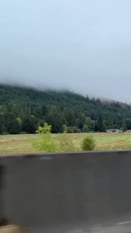 The video shows a time-lapse of a misty and overcast day in a rural area. In the foreground, a dark, wet surface, likely a road, is visible, with reflections suggesting it might be raining or has recently rained. Beyond the road is a green field dotted with numerous square hay bales. In the middle ground, the field transitions into a dense forest covering a hillside. The top of the hillside is obscured by thick, low-lying clouds or mist, giving the scene a diffused and serene atmosphere. A few small buildings can be seen in the distance, near the edge of the field and the beginning of the forest. The overall impression is one of a quiet, pastoral landscape on a damp, cloudy day.