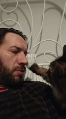 London resident documents quiet domestic moments with cat, household items