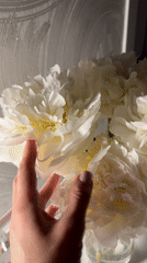 First birthday celebration with white peonies documented in Sochi