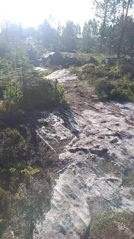 The video shows a steep, rocky path winding uphill through a sparse forest. The sun is shining brightly, casting long shadows. The path is covered with loose rocks and dry grass. There are several large boulders scattered on either side of the path. In the distance, more trees can be seen. The video is shot from a first-person perspective, as if someone is walking up the path. The camera is tilted slightly downwards, showing the ground ahead. The movement of the camera suggests that the person is walking at a moderate pace.