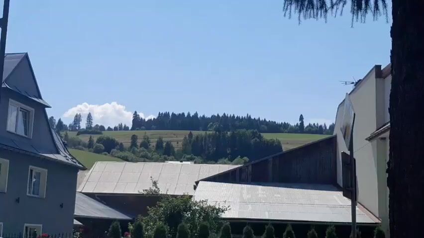A clear blue sky with a few white clouds dominates the upper portion of the frame. Below the sky, a line of evergreen trees stretches across a gently rolling green hill. In the foreground, several buildings are visible. To the left, a gray, multi-story building with white trim and windows stands partially obscured by a dark tree branch. Next to it, a large, barn-like structure with a corrugated metal roof is prominent. To the right, a portion of a white building with a dark-sloped roof is visible. In front of these structures, a line of dark green evergreen bushes forms a low hedge. The overall scene appears to be a rural or semi-rural setting on a sunny day. There are no people or active events depicted in the video.