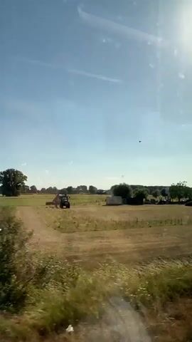 The video shows a rural landscape under a bright blue sky with scattered white clouds. In the foreground, tall grass and weeds sway in the breeze, partially obscuring the view. Beyond the foreground, there are agricultural fields. In one field, a tractor is visible, appearing to be engaged in some form of farming activity, possibly harvesting or plowing. There are rows of crops, some appearing to be harvested with straw left behind, and other fields with green crops, possibly corn. Trees and some structures are visible in the distance. The sun is shining brightly, casting a warm light on the scene. The camera appears to be moving, possibly from a vehicle, as indicated by the slight blur and the perspective of the landscape. There are no people clearly visible.