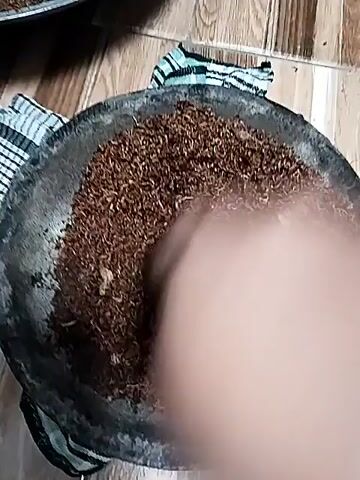 A close-up shot shows a person grinding dried leaves in a stone mortar and pestle. The leaves are small and brown, resembling dried tobacco or tea leaves. The mortar is worn and dark, with a checkered cloth wrapped around its base. The pestle is dark and cylindrical. The background appears to be a tiled surface. The person's hand is visible as they work the pestle.