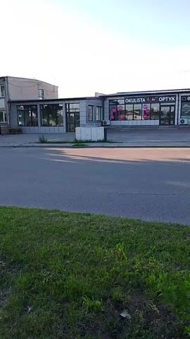 A slight pan to the right shows a row of commercial storefronts. The storefronts are light-colored and have large windows. Visible signs indicate "OKULISTA", "OPTYK", and "MOTO-HURT". Some of the windows display merchandise or promotional materials. The storefronts are situated across a paved road, with a strip of green grass and some vegetation in the foreground. The sky above is clear and appears to be daylight.