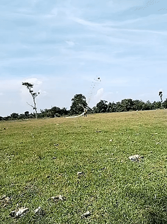 Person flies extraordinarily long kite string in Indonesian field