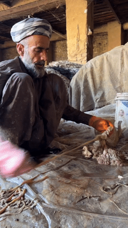 Traditional wool and hide processing documented in Quetta workshops