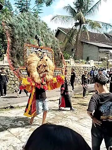 Here is a description of the video:
The video shows a traditional Indonesian performance on a street. A person wearing a large, ornate headdress with the words "RNOM JOYO TALUN" is central to the scene. The headdress is decorated with fringe and intricate patterns, and the performer is dressed in a black, red, and yellow outfit with light blue shorts. They are moving and interacting with the headdress, shifting it for the audience.

There's a crowd gathered, watching the performance. Many are wearing black T-shirts, and others are in traditional attire. A stone wall lines one side of the street, and buildings are visible in the background, along with trees and a palm tree. The scene is filmed outdoors, and the weather appears sunny.