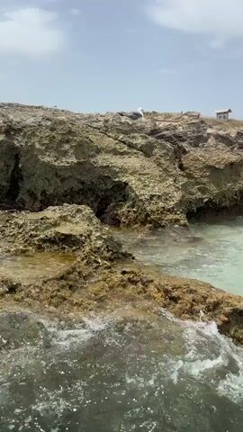 The video shows a choppy, greenish-blue ocean lapping against a rocky coastline. Waves are visible crashing against the rocks, creating white foam. The rocks appear to be made of a porous, light-colored stone, possibly coral or volcanic rock, with patches of green algae growing on them. Two seagulls are perched on top of the rocks. In the background, a small, white, box-like structure with a peaked roof is visible on the distant shore. The sky is a pale blue with a few wispy white clouds. The video is shot from a low angle, close to the water's surface, giving the impression of being on a boat or in the water. The lighting suggests a bright, sunny day.