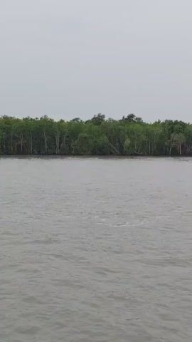 The video shows a water body with a dense forest on the opposite bank. The sky is overcast. A boat with a red and blue hull and an orange section is moving from right to left in the water. The boat has a canopy covering part of its deck. The water appears somewhat choppy. The forest is characterized by tall green trees.