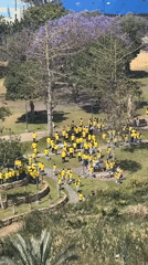 Yellow-shirted group gathers in Petah Tikva park