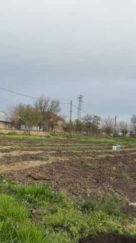 The video presents a view of a rural landscape featuring a cultivated field in the foreground. The field appears to have rows prepared for planting. In the midground, there are utility poles, trees, and several buildings, including what appears to be a barn or a shed. Large water jugs are visible scattered in the field, potentially for irrigation purposes. As the camera pans, the sky transitions from a cloudy overcast to a sunnier sky with the sun visible, filtering through the branches of a flowering tree. A stone wall and some greenhouses are visible in the background. There are no visible people or animals in the frame.
