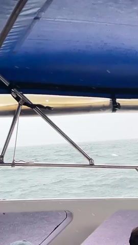 The video shows a close-up view of a boat's canopy structure and the ocean on a cloudy day. The camera is positioned under the canopy, looking out towards the sea. The canopy is made of blue fabric and supported by metal poles. The ocean is choppy, with waves visible. There is a railing in the foreground. The overall impression is one of being on a boat in potentially inclement weather.