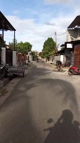 The video shows a residential street with houses on either side. The road is asphalt and appears somewhat worn. A person is seen sweeping the road on the right side of the frame. There are trees and fences lining the street. A motorcycle is parked on the right side of the road, and the shadow of a motorcycle is visible in the foreground, suggesting the video is shot from a moving motorcycle. Several other motorcycles are seen further down the street. The sky is blue with some clouds, indicating daytime. A small trailer is parked on the left side of the road.