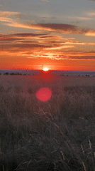 Sunset over Kazakhstan grasslands with wind turbines