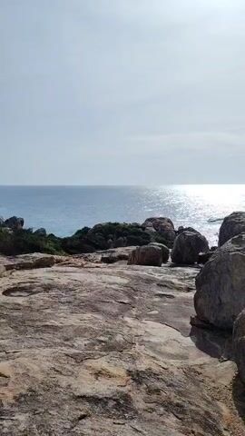 The video shows a rocky coastal landscape. The foreground is dominated by large, weathered rocks with some patches of lichen. Beyond the rocks, the ocean stretches out, its surface reflecting the sunlight. The water is a deep blue, with white waves breaking near the shore. A sandy beach is visible in the distance. The sky is a pale blue with some wispy clouds. There are some green bushes growing amongst the rocks on the left side of the frame. The camera appears to be handheld and pans slightly to the right.