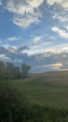 Rural landscapes and dog documented in Batmany, Russia