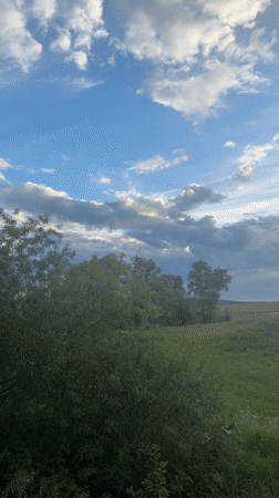 Rural landscapes and dog documented in Batmany, Russia
