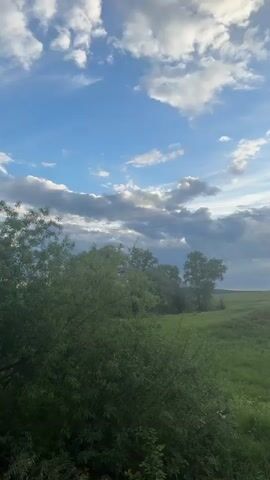 The video showcases a serene landscape. The camera pans from left to right, revealing a field of lush green grass and a smattering of trees in the foreground. The backdrop is dominated by a vibrant sky filled with clouds, some casting shadows while others are illuminated by the sun peaking through. Power lines are visible against the sky. The sunlight creates a soft, golden hue on the horizon, hinting at either sunrise or sunset. The video appears to be shot in a rural or countryside setting.