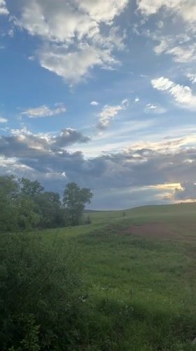 Rural landscapes and dog documented in Batmany, Russia
