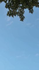 Planes overhead and city streets at dusk, multiple angles