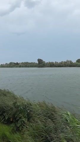 This is a vertical video with a slow pan to the right. The video shows a body of water, possibly a river or lake, with choppy waves. The sky is overcast and gray, suggesting cloudy or stormy weather. The foreground is dominated by tall, green grass swaying in the wind. In the middle ground, across the water, a distant treeline and some buildings are visible on the far bank. The far bank appears to be lined with trees and some structures. On the right side of the frame, a brick wall and a green railing are visible, indicating a man-made structure, possibly a walkway or balcony overlooking the water. There are no people clearly visible in the video. The overall atmosphere is moody and somewhat wild due to the wind and the overcast sky.