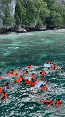 Snorkeling group clusters around floating platforms by limestone island