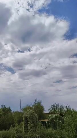 The video shows a bird flying in the sky above trees and a structure. The sky is partly cloudy with patches of blue sky visible. The bird is a dark silhouette against the bright sky. The trees are green and lush, and the structure appears to be a small building or shed with a roof. The overall scene is one of nature and rural life.