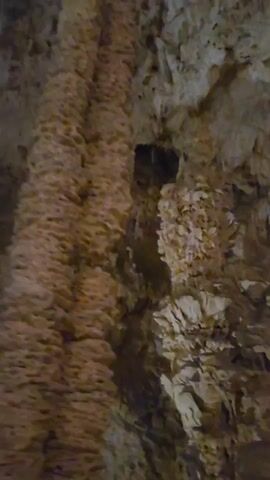 The video shows a slow panning shot of the interior of a cave. The walls are covered in stalactites and stalagmites, which are geological formations made of mineral deposits. The cave appears to be dark, with some areas illuminated by artificial light, highlighting the textures and shapes of the rock formations. The camera moves upwards and across, revealing the vastness and complexity of the cave's interior. The formations vary in size and shape, with some appearing tall and columnar, while others are more clustered and irregular.
