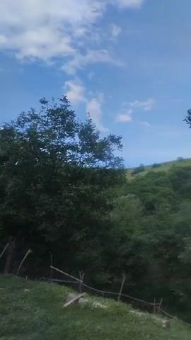 A video shows trees and hills under a blue sky with clouds. The camera pans across a green landscape with lush foliage. The foreground features grass and some wooden posts. In the background, rolling hills covered in trees stretch towards the horizon. The sky is a bright blue with scattered white clouds. The overall scene depicts a natural, outdoor environment.