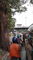 Midmorning traffic flows through a leafy Bandung street