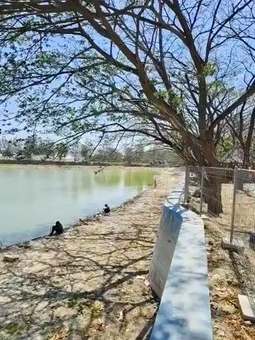The video shows a body of water with a sandy bank. Several people are sitting or lying on the bank, seemingly relaxing or fishing. A large tree with sprawling branches provides shade over a portion of the scene. The water appears calm and reflects the sky, which is clear and blue. A fence is visible along the right side of the bank. The overall impression is one of a tranquil outdoor setting.