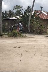 Quiet rural morning in Air Hitam, Indonesia