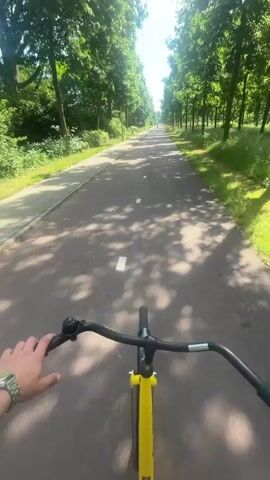 A first-person perspective video shows a person riding a yellow bicycle down a paved path. The path is lined with tall green trees on both sides, creating a tunnel-like effect. Sunlight filters through the trees, casting shadows on the path. The cyclist's hand is visible on the left handlebar, wearing a silver wristwatch. A bell is attached to the left handlebar. The path has white lane markings. A grassy field is visible to the right of the path, with more trees in the background.