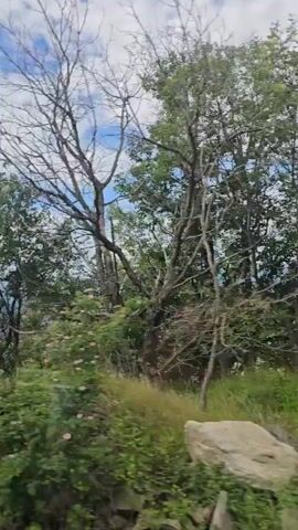 The video captures a moving shot from a vehicle, showcasing a lush, green landscape under a bright, partly cloudy blue sky. As the camera pans, a verdant valley with distant structures comes into view, framed by numerous trees and dense foliage in the foreground.