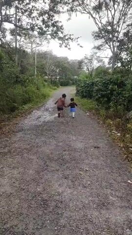 Two children, one older and one younger, walk hand-in-hand down a gravel road. They are both walking away from the camera, towards the distance. The road is surrounded by lush green vegetation, with trees and bushes lining both sides. The sky is overcast, suggesting a cloudy day. The overall scene depicts a simple, natural setting with two children sharing a moment together.
