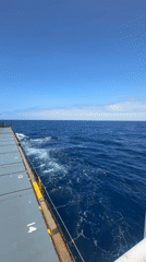Cargo ship filmed navigating Caribbean waters under clear skies