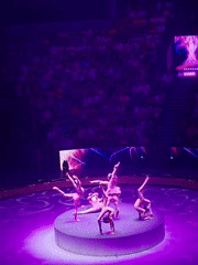 Acrobatic performance with aerial acts and human pyramids