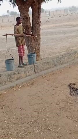 A young person is standing on a concrete ledge beside a tree. They are carrying a stick with two buckets hanging from it. The person picks up the stick and walks forward, carrying the buckets of what appears to be water. The ground is sandy, and there are some scattered objects like a discarded cloth nearby. In the background, there’s an open area with a fence or wall.