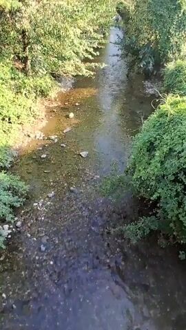 The video begins with a view of a shallow stream with a rocky bottom, bordered by lush green trees and bushes. Sunlight reflects off the water's surface. The camera then pans to show a person's shadow cast on a paved walkway. The walkway has a metal railing on one side. In the background, there are some buildings and construction equipment visible. The camera then returns to the stream, showing a slightly different angle from what appears to be a bridge. The water flows gently, with reflections of the surrounding trees. The scene is outdoors during daylight hours, with a clear sky.